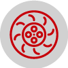 wheel icon